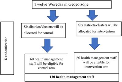 Improving data use in decision-making and utilization of maternal healthcare services through a data-informed platform for health approaches in districts of the Gedeo Zone, southern Ethiopia, 2023: a cluster-randomized control trial